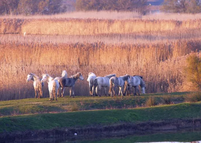 Olimpia Вилла *
