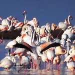 Villetta Olimpia Lido delle Nazioni